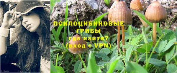 ECSTASY Абинск