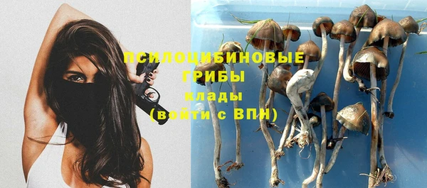 таблы Алексеевка