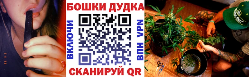 закладка  Комсомольск-на-Амуре  Каннабис ГИДРОПОН 